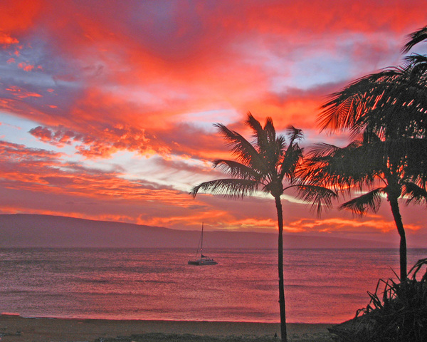 Hawaii... Başka söze gerek var mı?