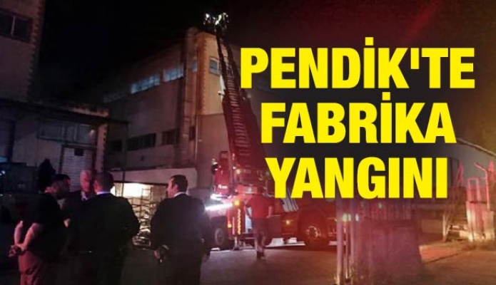 Pendik'te fabrika yangını: 1 yaralı