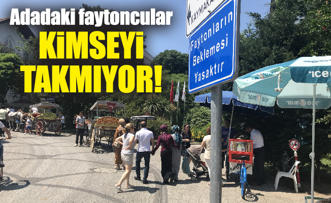 Adadaki faytoncular kimseyi takmıyor!