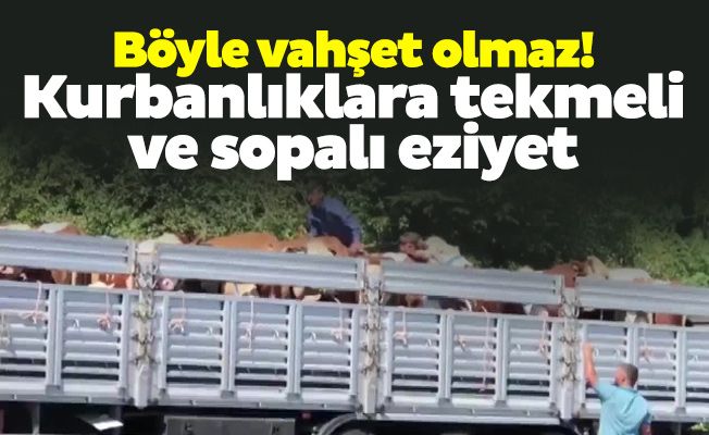 Böyle vahşet olmaz! Kurbanlıklara tekmeli ve sopalı eziyet