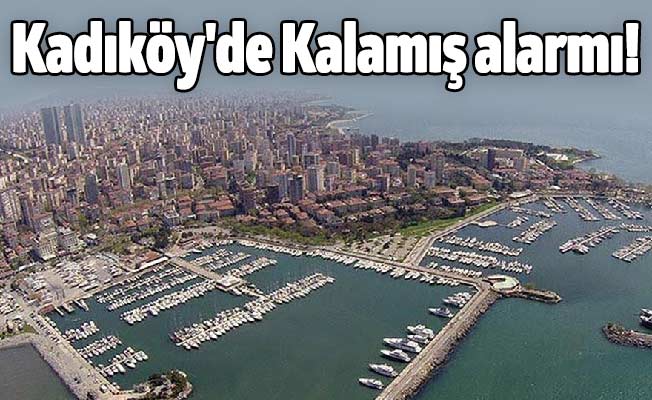 Kadıköy'de Kalamış alarmı!